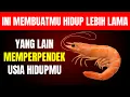 Download Lagu 4 Seafood yang JANGAN PERNAH Kamu Makan dan 4 yang HARUS Kamu Makan