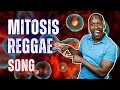 Mitosis Reggae Song - Cell Division but Actually FUN
