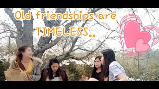 ENJOYING PICNIC Under The CHERRY BLOSSOMS Trees SAKURA JAPAN 