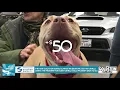 Share The Love at Goldstein Subaru - Donate 250 to Charity with New Subaru Purchase or Lease