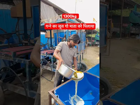 1300kg गन्ने का जूस गो माता को पिलाया  #short