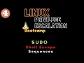 Privilege Escalation using Sudo shell escape sequences Linux Privilege Escalation Bootcamp