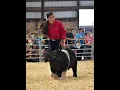 St Clair County 4-H Youth Fair July 20-25 2026