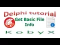 Get Basic File Info Delphi tutorial