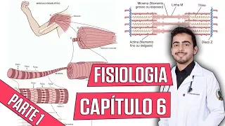 Fisiologia - Contração do Músculo Esquelético (Capítulo 6) PARTE 1│ Guyton