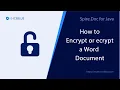 How to Encrypt or Decrypt Word Documents in Java