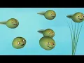 Old MacDonald Had a Farm (2D) | +More Nursery Rhymes & Kids Songs - CoCoMelon