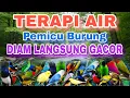 Lagu TERAPI AIR PEMICU BURUNG LANGSUNG GACOR, TERAPI AIR UNTUK SEMUA JENIS BURUNG MACET BUNYI 