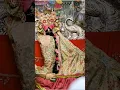 Download Lagu Shree RadhaVallabh Lal Ji, 16/06/2025 ka Mangala Aarti Darshan, Vrindavan ￼