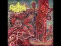 Vile Yolk of Contagion - Cerebral Rot