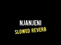 Lagu NJANJENI SLOWED REVERB