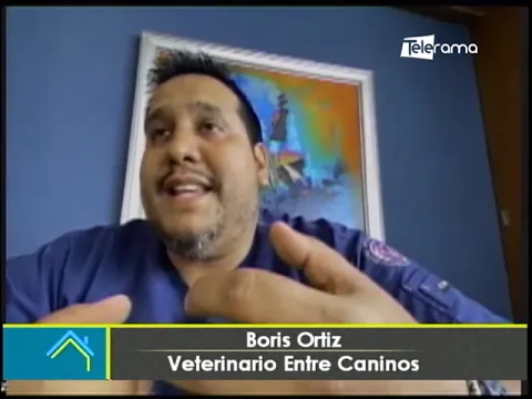 ¿Cómo lograr que tu perro acepte a otro cachoro en casa?