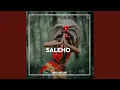 Download Lagu Saleho