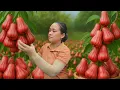 Download Lagu Harvesting 1000kg of Sweet Tropical Whip and Selling It at the Countryside Market | Ly Thi Ca