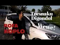 Tresnaku Digondol Wewe - Rofa Koplo - Lagu Jawa Koplo Terbaru 2020 - Official Music Video