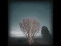 wakare - enmei