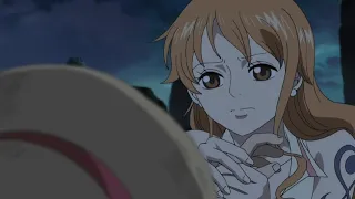 luffy and nami another love