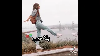 تصميم روعة مع اغنية سنجل ومبسوط بحالي 