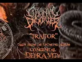 Download Lagu Cranial Disorder \