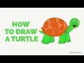 How to Draw a Turtle in a Few Easy Steps Drawing Tutorial for Beginner Artists