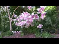 A Walk Through Rotary Botanical Gardens In Janesville Wi 2017