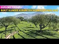 Lagu BUKIT KUNEER KEBUN TEH WONOSARI MALANG Terbaru ‼ Viewnya Cakep Banget