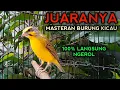 Download Lagu Mozambik Gacor Speed Rapat NGEROL PEDAS untuk masteran,