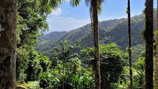 Travel, mascs, parcs and travelers