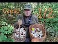 Download Lagu Grzybobranie tyle grzybów Ile ludzi CZ 1/2