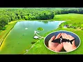 Download Lagu This Tiny Fish Solved a Major Problem at the 5 Acre Pond!