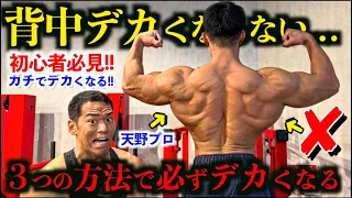 背中がデカくならない人へ。ナチュラルで東京プロ３位の天野君に背中をバカデカくする裏技を全部聞きました