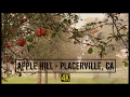 Downtown Placerville to Apple Hill CA - 4k