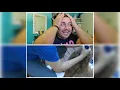 BLAKE HERNANDO - GROOMER REACTS EP 2