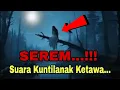 Download Lagu SEREM !!! Suara Kuntilanak Ketawa Dan Hewan Malam Bersahutan | Bikin Merinding !!!