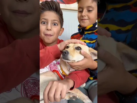 Yeni köpeğimizin ismi ne olsun?
