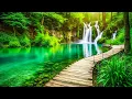 Download Lagu Musik Relaksasi Instrumen Indah Penyejuk Hati - Santai, Spa, Meditasi, Healing, Membaca [ 2 ]