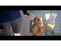 Download Lagu Pokémon: A Great Journey (Live Action Short Film)