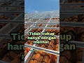 Download Lagu cara pasang baja ringan untuk atap genteng