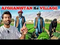 Lagu Most Hospitable People In The World AFGHAN | Afghanistan Village Life |