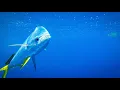 CRAZY Mahi Mahi Bite While Offshore Fishing in Louisiana