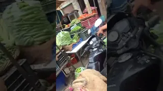                     دندنها