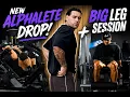 NEW ALPHALETE TRY-ON MY CURRENT LEG DAY