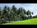 Download Lagu RINDU SERINDU RINDUNYA - DECKY RYAN (Lirik hjz)