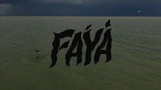 ministry of echology faya official video 