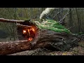 Download Lagu Building a Warm and Cozy Hollow for Survival, in the root of a fallen spruce. Secret cave, Bushcraft