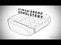 RecoveryZone Dog Beds from Orvis Features Benefits