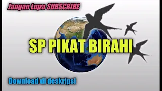 Download Suara Pikat Birahi Original | My Vlog 88 MP3