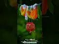 gopalkala 4k whatsapp status 😍#gopalkala #gopalkalastatus #krishnastatus #shorts