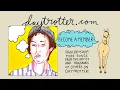 Andrew Bird and Dianogah - Fiery Crash - Daytrotter Session