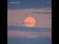 Fly
